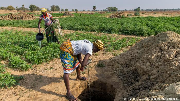 Landwirtschaft Afrika | Feld-Bewässerung in Togo