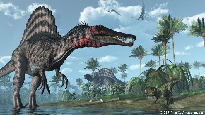 Illustration of dinosaurs: Spinosaurus (front, left) and Psittacosaurus (back, right)