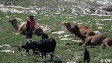 Pervin Savran. Die 63-jährige zählt zu den letzten Nomaden in der Türkei. Im Sommer treibt sie ihre Tiere ins Taurusgebirge. Es handelt sich um Standbilder aus der Sendung Reporter am 11.6.22.