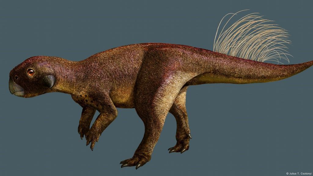 Lesionarse Gracias Tarjeta postal Paleontólogos revelan que algunos dinosaurios tenían ombligo | Ciencia y  Ecología | DW | 10.06.2022