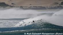 A surfer rides a wave at One Mile Beach at Port Stephens, Australia, Sunday, June 12, 2022. (AP Photo/Mark Baker)