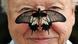 Man with a butterfly perched on his nose Man with a butterfly perched on his nose