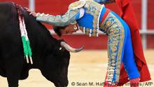 ¿Adiós a las corridas de toros en Plaza México?