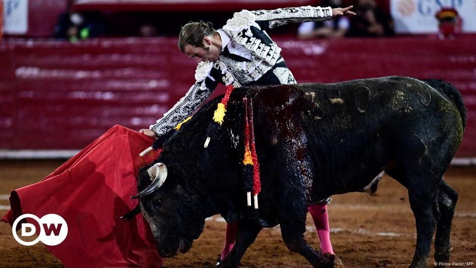 Protests as bullfighting resumes in Mexico City – DW – 01/29/2024 - Vimarsana News