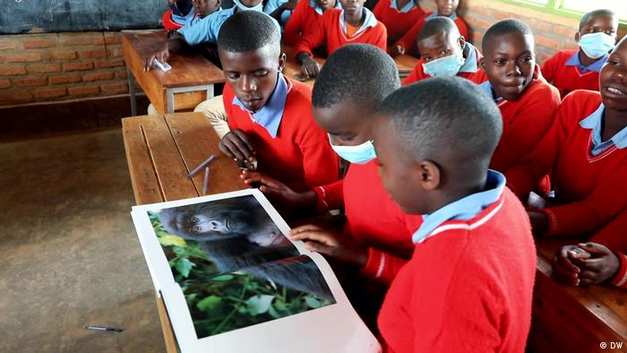 Schoolchildren look at a picture of a gorilla in a book