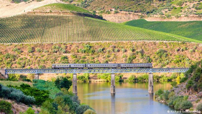 A train passes a bridge over the river, vineyards are visible in the background