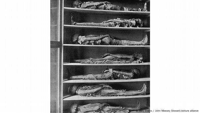 Los europeos se aficionaron obsesivamente a las momias egipcias. En la foto, momias de sacerdotes, Museo de Gizeh, Egipto.