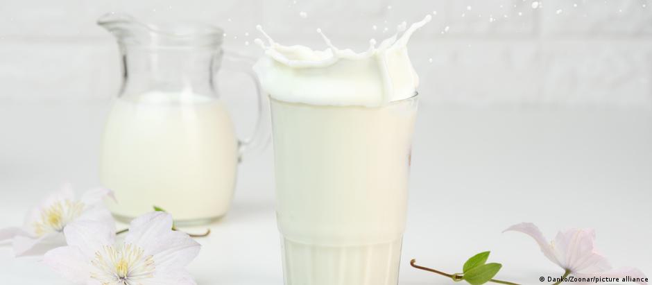 Cerca de dois terços das pessoas perdem a capacidade de digerir a lactose, o principal açúcar do leite
