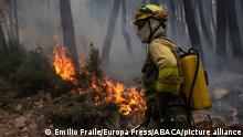 A firefighter works to extinguish a fire in the Sierra Culebra , on June 16, 2022, in Zamora, Castilla y LeÃ³n, (Spain). The Junta de Castilla y LeÃ³n has declared level 2 of the Plan de ProtecciÃ³n Civil ante Emergencias por Incendios Forestales (Infocal) for simultaneous fires caused by lightning in RiofrÃ­o de Aliste and Ferreras de Arriba (Zamora), in the Sierra de la Culebra. The Military Emergency Unit (UME) has been deployed to the site. In addition to the UME, three helicopters of the Junta are working in the place and two helitransported BRIF crews and three amphibious of the Ministry for the Ecological Transition and the Demographic Challenge have been requested. Photo by Emilio Fraile/Europa Press/ABACAPRESS.COM