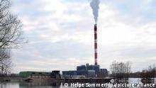 (FILES) Picture dated 13 February 2006 shows swans in front of the Mellach power station near Graz, Austria, where the first cases of bird flu were detected on Tuesday, 14 February. Austria reported its first suspected cases of bird flu with the discovery of two possibly infected dead swans. An announcement by the office of Agriculture Councillor of Austria's Styria province, Hans Seitlinger, said that examinations of a number of dead birds had come up with two cases of suspected H5N1 virus. EPA/HELGE SOMMER +++ dpa-Bildfunk +++