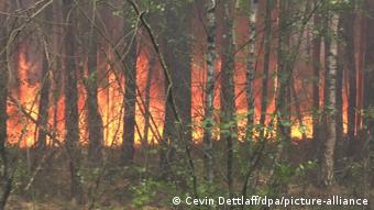 Πυρκαγιά στο Μπέελιτς