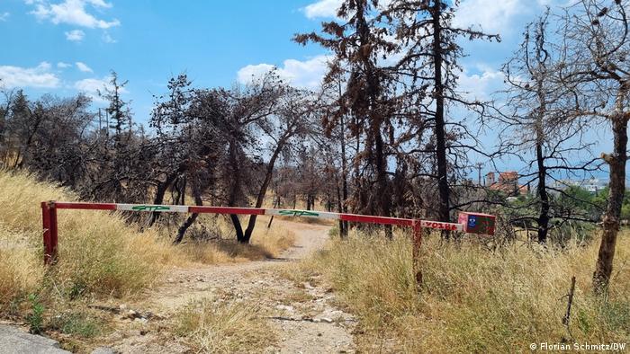 A boom gate closes a fire trail leading through a dry landscape in Vyronas, Greece