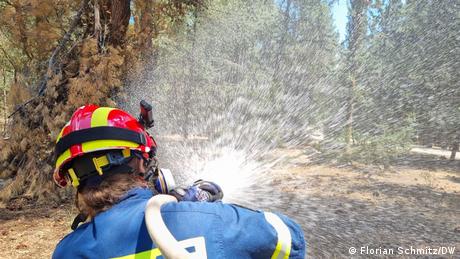 A firefighter with a hose over her shoulder sprays water into the forest in Vyronas, Greece