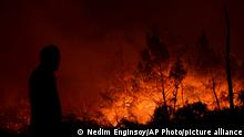 A firefighter is silhouetted against the a rising wall of flames from a huge wildfire in the foothills of the Pentadaktylos mountain range in the breakaway north of ethnically divided Cyprus, on Thursday, June 23, 2022. Israel on Thursday dispatched two water-dropping aircraft to help in fighting the wildfire that has scorched at least 10,000 acres (4,000 hectares) of forest. (AP Photo/Nedim Enginsoy)