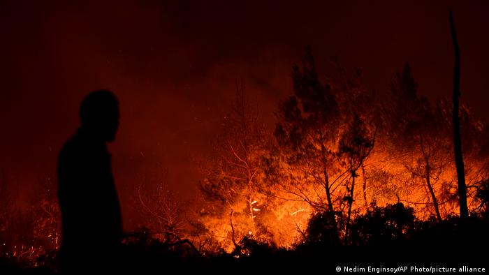 Silueta vatrogasca i zid plamena – tako je ovih dana i noći na Kipru. Ogroman šumski požar besni u podnožju planinskog lanca Pentadaktilos, spalio je do sada najmanje 4.000 hektara šume.