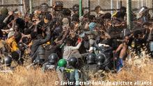 Migrants wrestle with riot police at Melilla