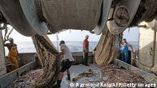 Fischfangindustrie | Schleppnetzfischerei