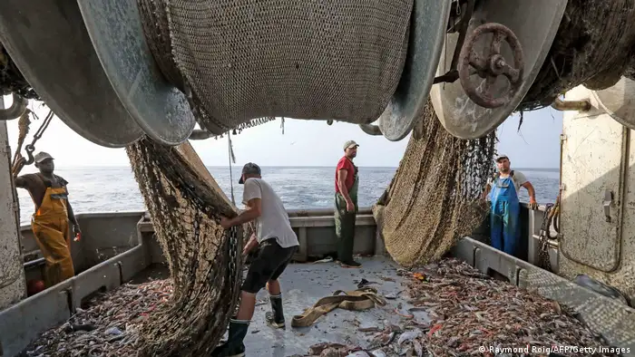 Fischfangindustrie | Schleppnetzfischerei