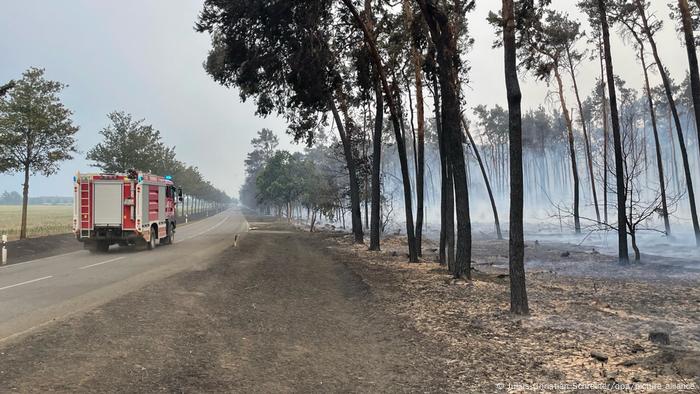 A fire engine passes a burnt out stretch of forest near the community of Kosilenzien 