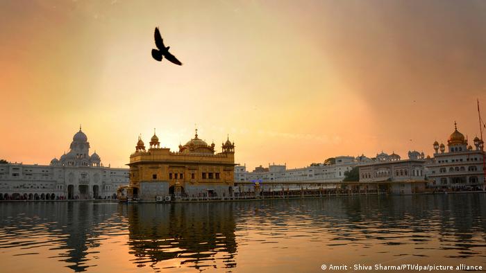 The golden temple stands framed by other buildings on the water in the sunset. Its silhouette is reflected in it and a bird flies above it.
