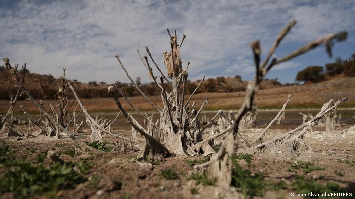 Reserva Tiltil en Chile, repetidamente golpeada por la sequía y el calor.