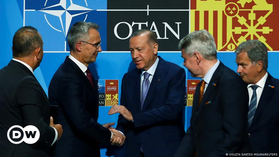 Turkey ready to back Sweden, Finland NATO bids