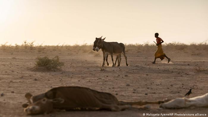 Istorijske suše na Rogu Afrike