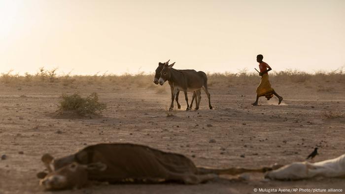 Sequía y terrenos desérticos en Somalia, en el Cuerno de África.