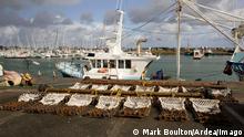 Scallop dredging nets with fishing trawlers . Quineville harbour Normandy France. PUBLICATIONxINxGERxSUIxAUTxONLY Copyright: MarkxBoulton 10871117