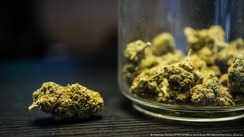 Deutschland bewegt sich in Richtung Legalisierung von Cannabis | Deutschland | DW Deutschland bewegt sich in Richtung Legalisierung von Cannabis | Deutschland | DW