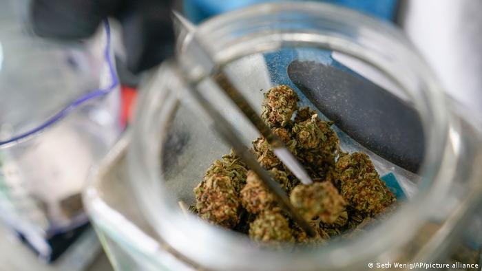 Consumidores de marihuana son más propensos a necesitar atención de  urgencia y hospitalización, según estudio | Ciencia y Ecología | DW |  30.06.2022