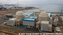 In this Feb. 5, 2013 photo, Shin-Kori No. 2 nuclear power plant, left in foreground, stands next to Shin-Kori No. 1 plant, right foreground, in Ulsan, South Korea. On Tuesday, May 28, 2013, South Korea halted operation of two nuclear power plants, Shin-Kori No. 2 and Shin-Wolsong No. 1, unseen, after finding they used control cables that failed to pass tests, in another blow to the worlds fifth-largest nuclear energy producer. Two other plants under construction, Shin-Kori No. 3, second left, and Shin-Kori No. 4, far left, are seen in left background. (AP Photo/Ahn Young-joon)