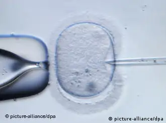 检查胚胎的基因