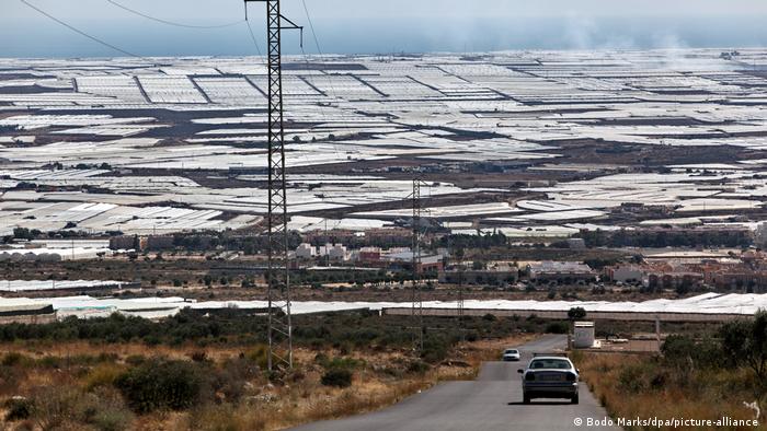 Blick auf das so genannte Plastikmeer in der südspanischen Provinz Almería: Fast 30.000 Gewächshäuser und Folientunnel erstrecken sich auf einer Fläche von über 350 Quadratkilometern