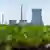 Symbolbild Atomkraftwerk Grüne Energie ? 