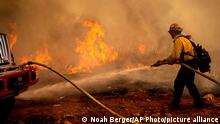 A firefighter sprays water while trying to keep the Electra Fire from spreading in the Pine Acres community of Amador County, Calif., on Tuesday, July 5, 2022. (AP Photo/Noah Berger)
