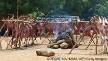 Kampagne für ökofreundliches Grillen in Niger