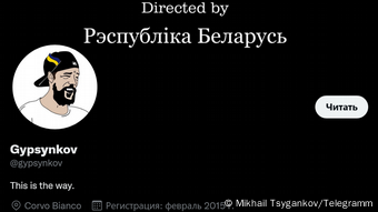 Скриншот твиттер-аккаунта Михаила Цыганкова