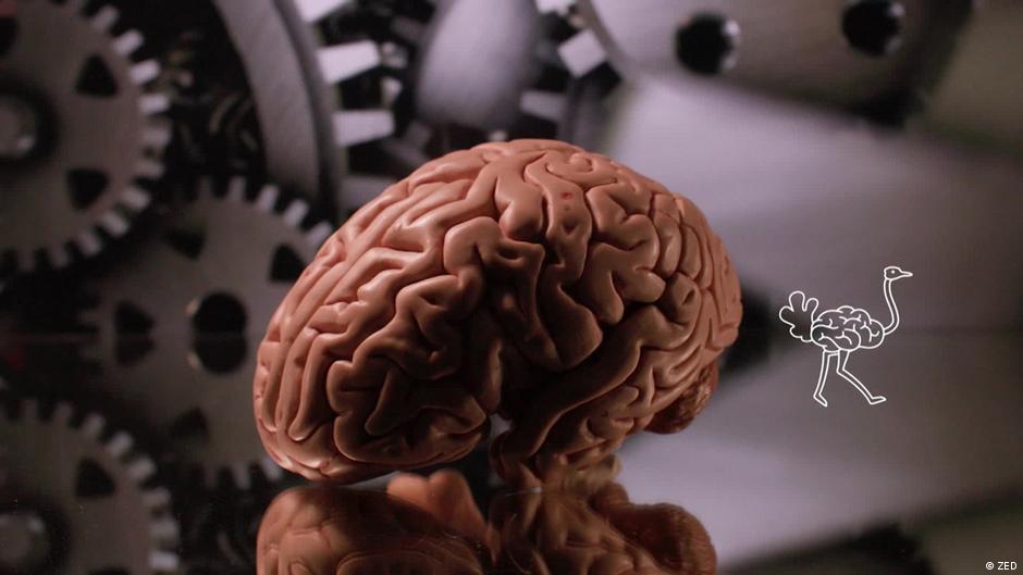 The Brain Paradox - Comprehending Climate Change | Highlights | DW - Vimarsana News