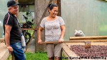 De la coca al cacao: una nueva vida para los campesinos de Caquetá, en Colombia