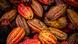 Frutos de cacao Frutos de cacao