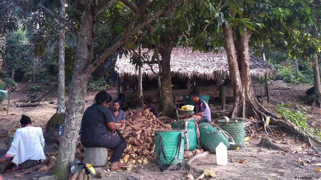 Família descasca a mandioca que será levada para fermentar no rio