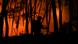 A silhouette of a firefighter standing in the forest is during a wildfire at Casais do Vento in Alvaiazere, Portugal A silhouette of a firefighter standing in the forest is during a wildfire at Casais do Vento in Alvaiazere, Portugal