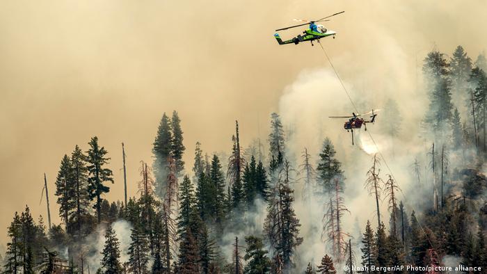 USA Waldbrände in Kalifornien