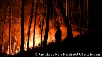 Πορτογαλία, πυρκαγιές, Αλβιάζερ