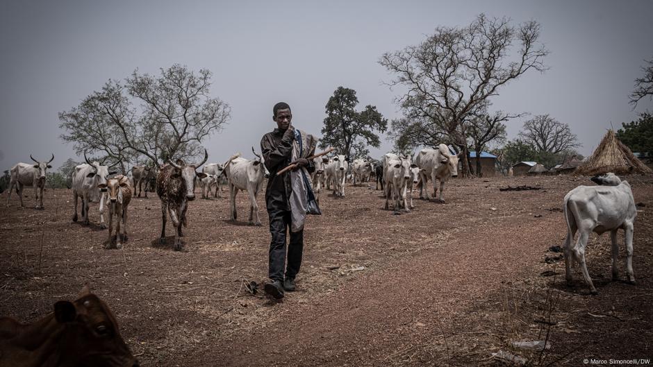 Le Tchad peine à mettre fin au conflit agropastoral