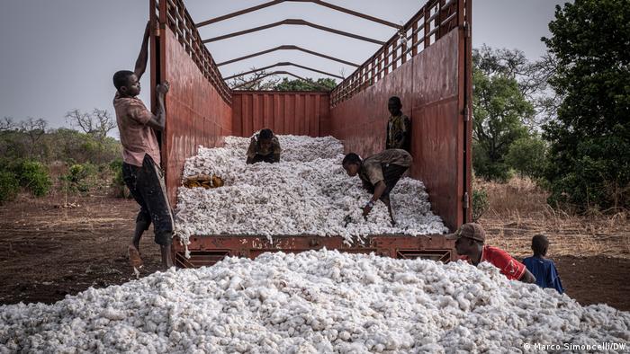 Workers load a huge truckload of cotton just outside a village in Atacora