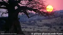 Sunset behind baobab tree, Singida. Ruaha National Park, Iringa, Tanzania Keine Weitergabe an Drittverwerter.