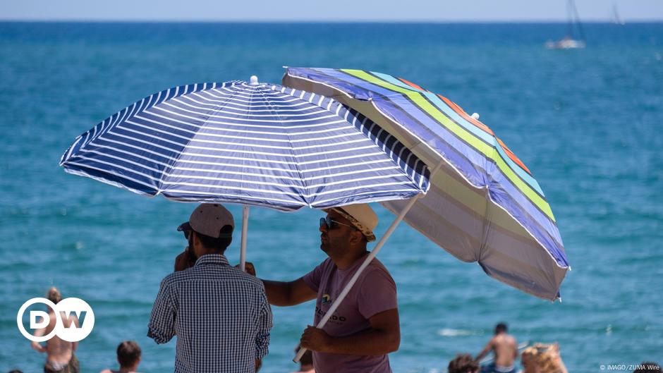 Ola de calor extremo en España: diez días a más de 40 grados |  Europa actual |  DW