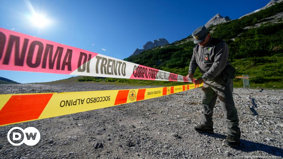 Orso uccide un escursionista nel nord-est Italia – DW – 04/07/2023